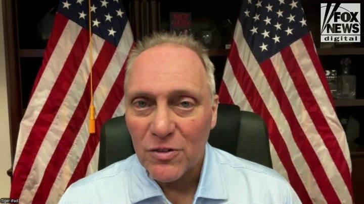 House Majority Leader Steve Scalise speaks with Fox News Digital about the 2024 election