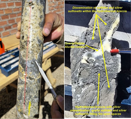 Cannot view this image? Visit: https://bestsafechoice.com/wp-content/uploads/2026/02/282337_figure4_550.jpg