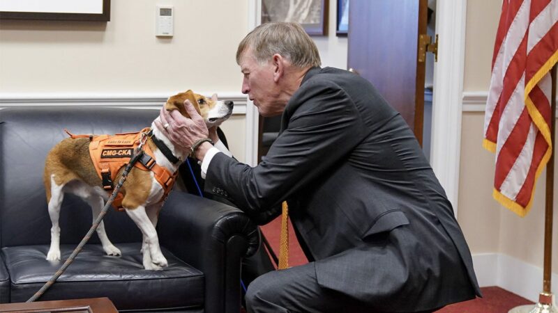 rep.-gosar-rescued-animal.jpg